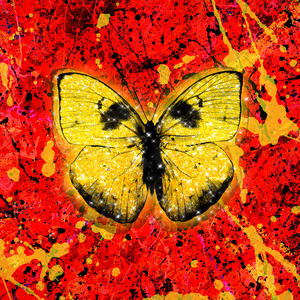 free丰满大屁性Videos
