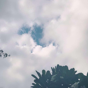 free丰满大屁性Videos
